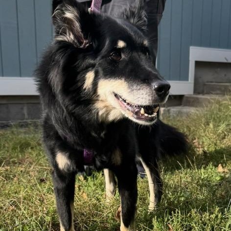 Generic placeholder image